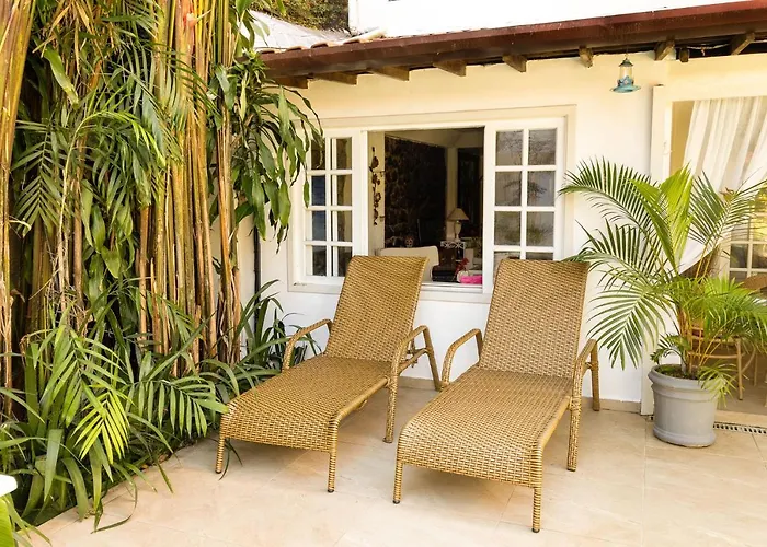 Rede Reserva Bromelias Angra dos Reis